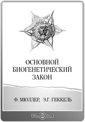 Kraken что это за сайт