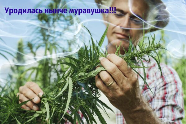 Кракен это сайт что продают