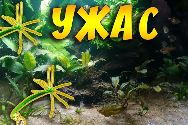 Кракен маркет только через тор