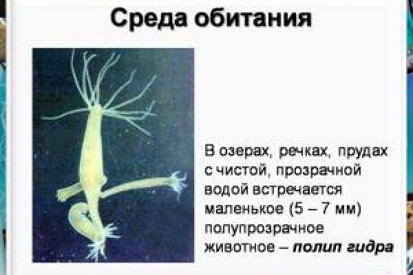 Кракен зеркала официальные