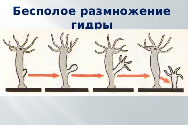 Ссылка на сайт кракен в тор браузере