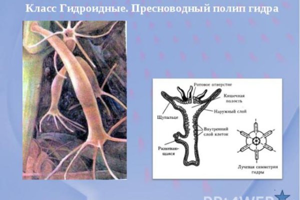 Как купить наркотик в кракен
