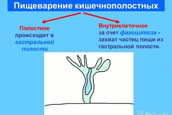 Кракен что там продают