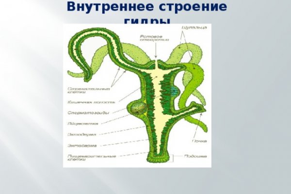 Kra36.cc