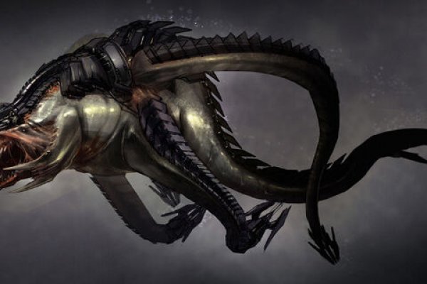 Kraken19 at