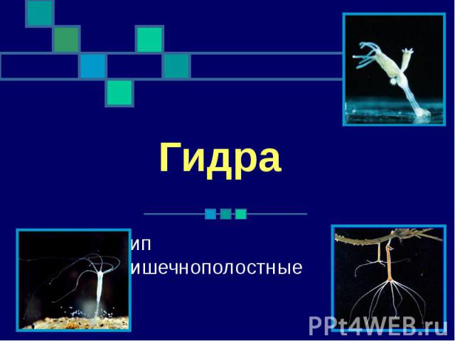 Кракен даркнет 2krnmarket