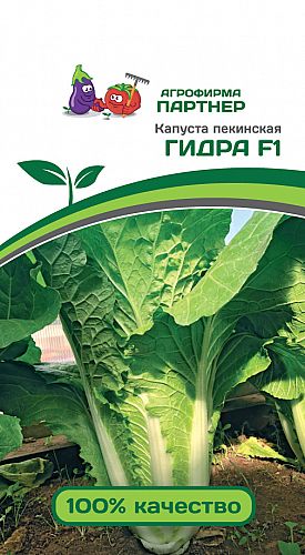 Кракен даркнет тг